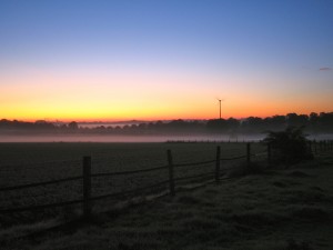Nebel über den Feldern meiner Laufstrecke