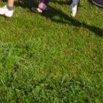 cropped-laufen1.jpg